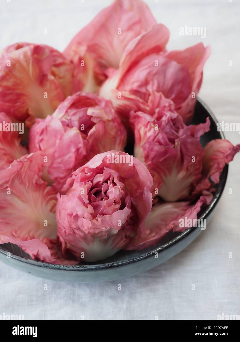 Rosa Rosa del Veneto Winter Zichorie / Radicchio Salat Köpfe sehen aus wie Blumen in einer Schüssel auf einer weißen Leinentischdecke Stockfoto