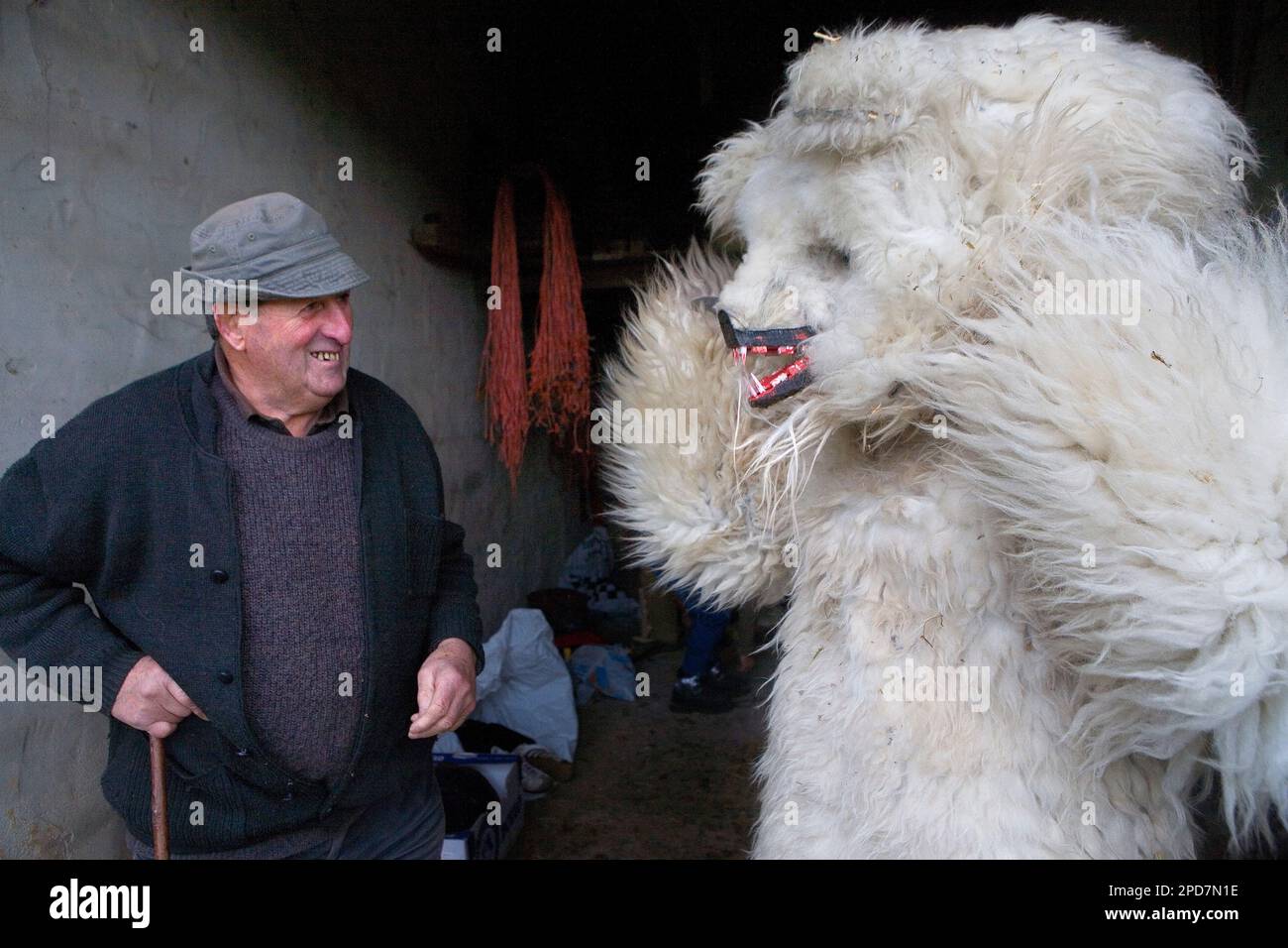 "La Vijanera´carnival, Bär, den Karneval, Silio, Molledo vorbereiten. Kantabrien, Spanien. Stockfoto