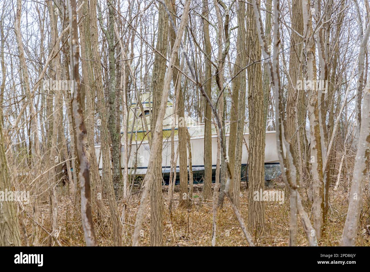 Große Motoryacht mitten im Wald Stockfoto