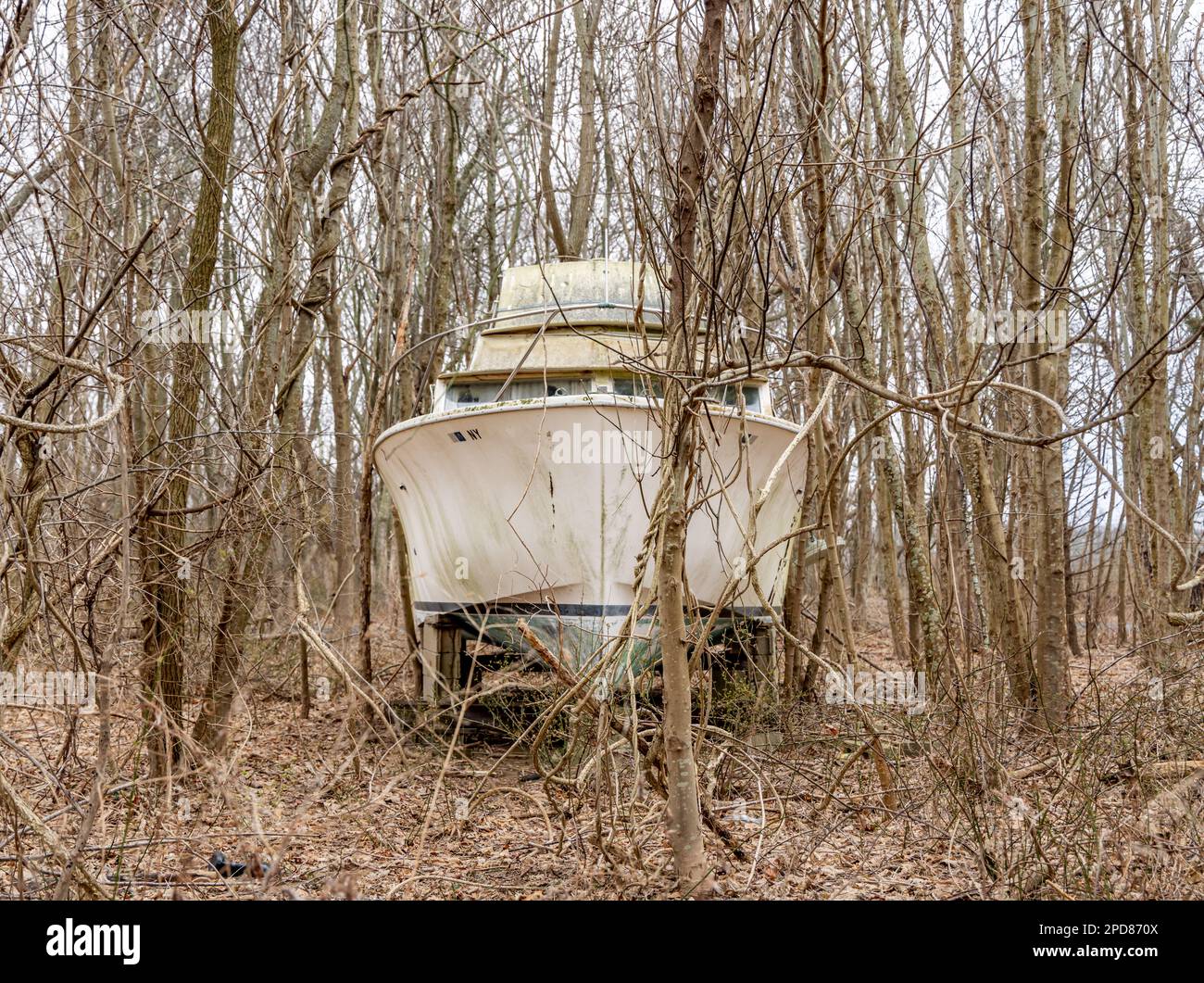 Große Motoryacht mitten im Wald Stockfoto