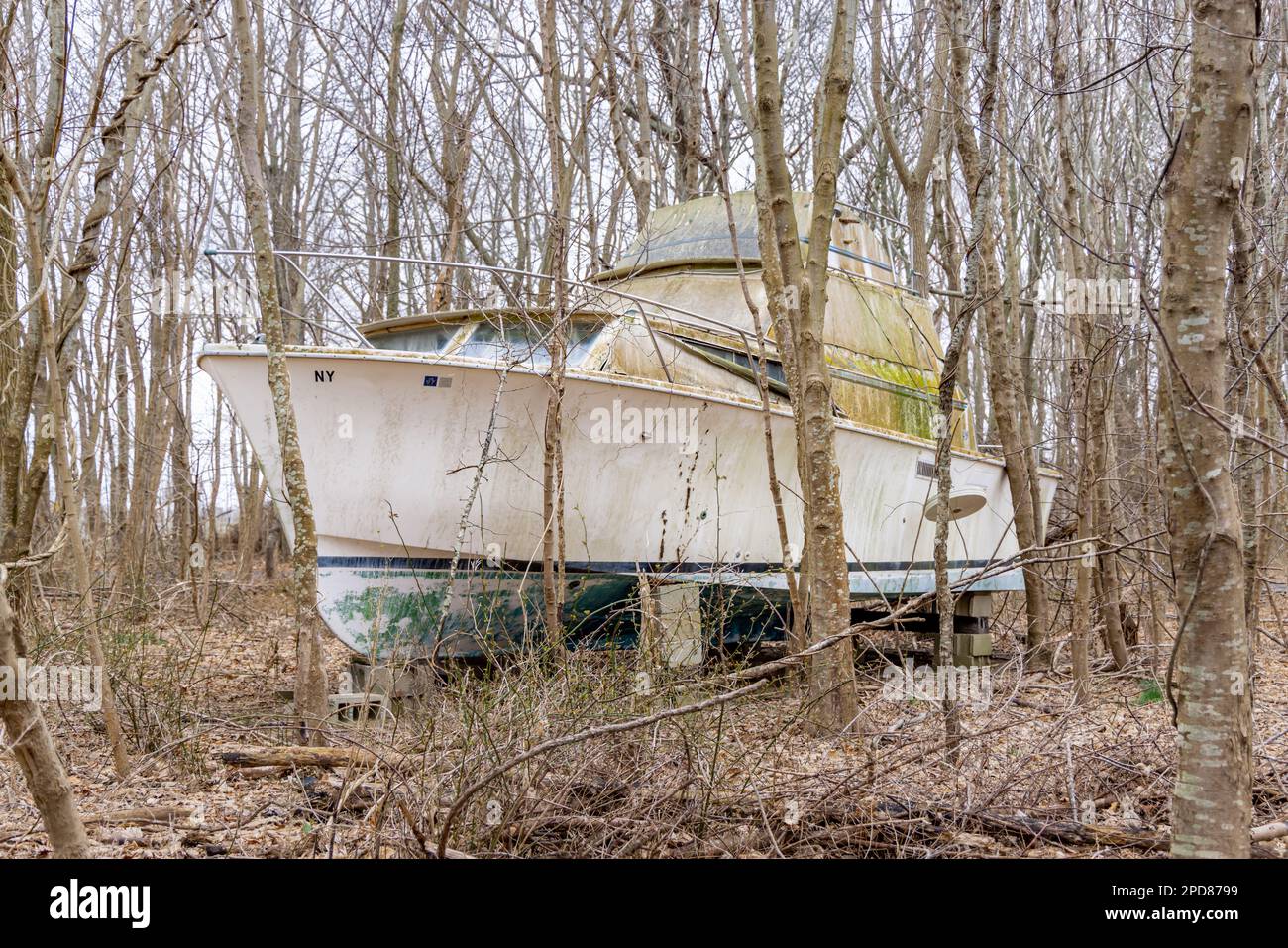 Große Motoryacht mitten im Wald Stockfoto