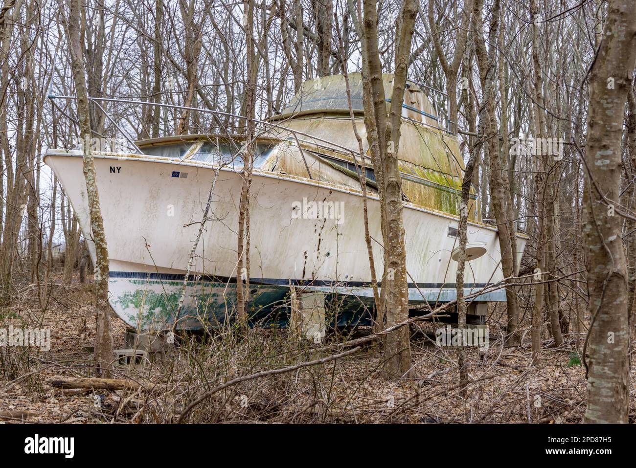 Große Motoryacht mitten im Wald Stockfoto