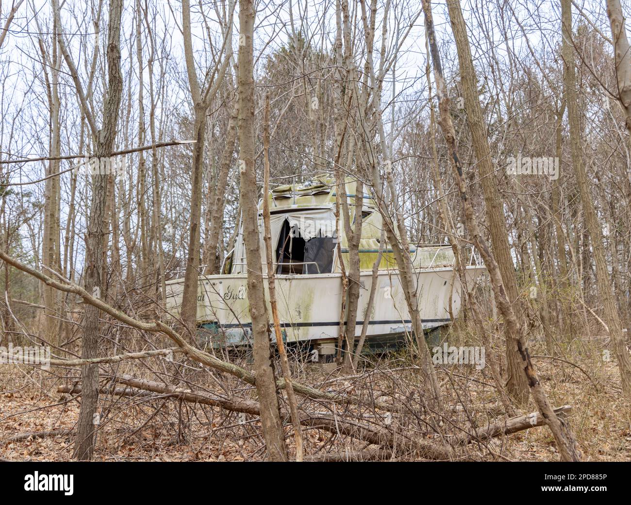 Große Motoryacht mitten im Wald Stockfoto