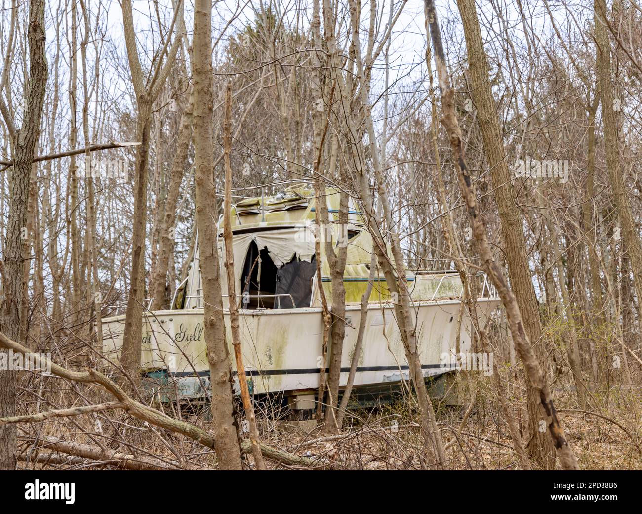 Große Motoryacht mitten im Wald Stockfoto