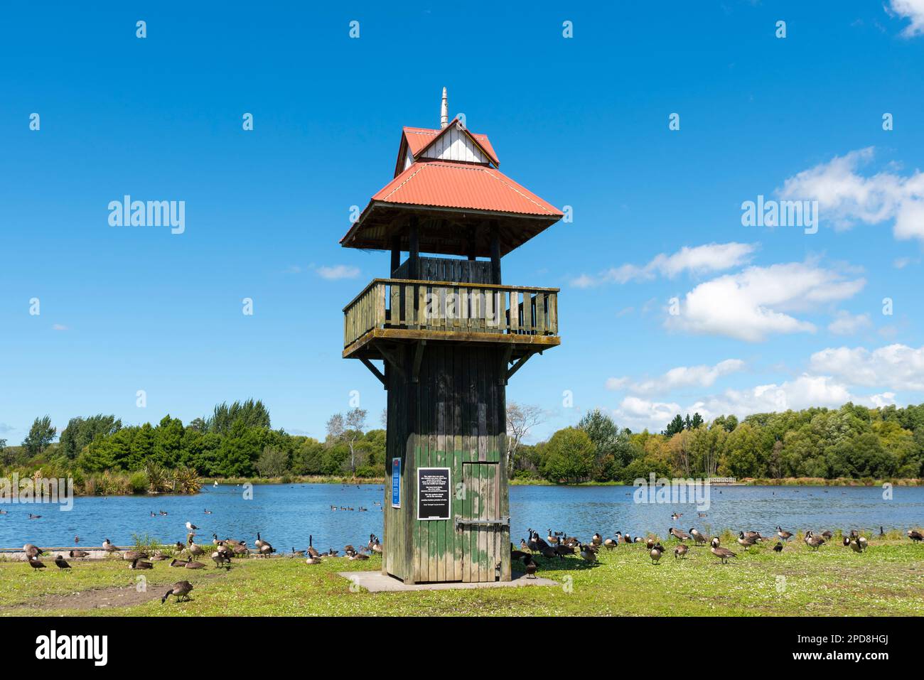 Henley Lake Park in Masterton, Neuseeland, an einem hellen Sommertag. Vogelbeobachtungsturm und Gänse am Seeufer Stockfoto