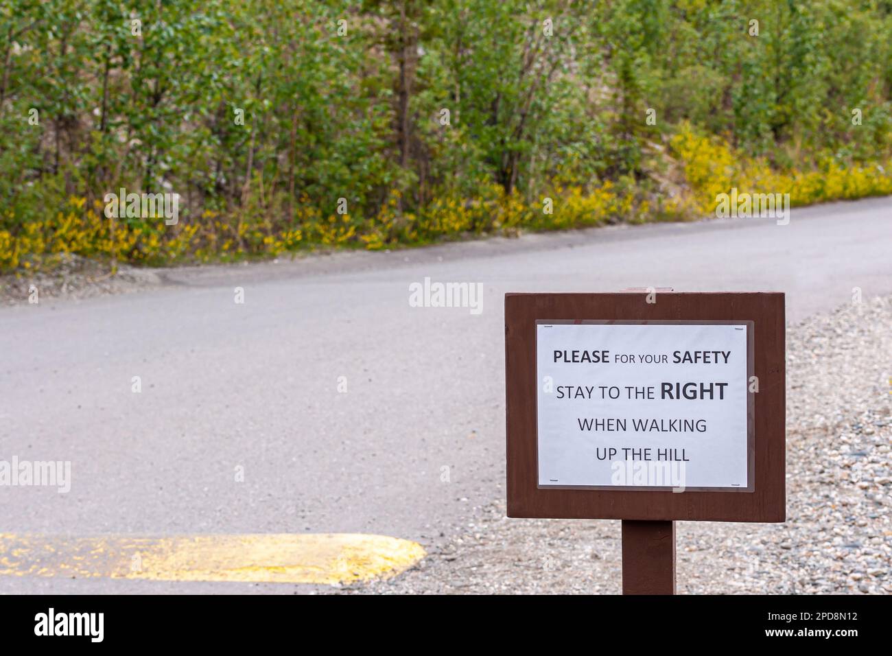 Denali Park, Alaska, USA - 24. Juli 2011: Gehen Sie auf der rechten Seite den Hügel hinauf, und folgen Sie dem Schild auf der asphaltierten Straße. Grüne Laubkulisse Stockfoto