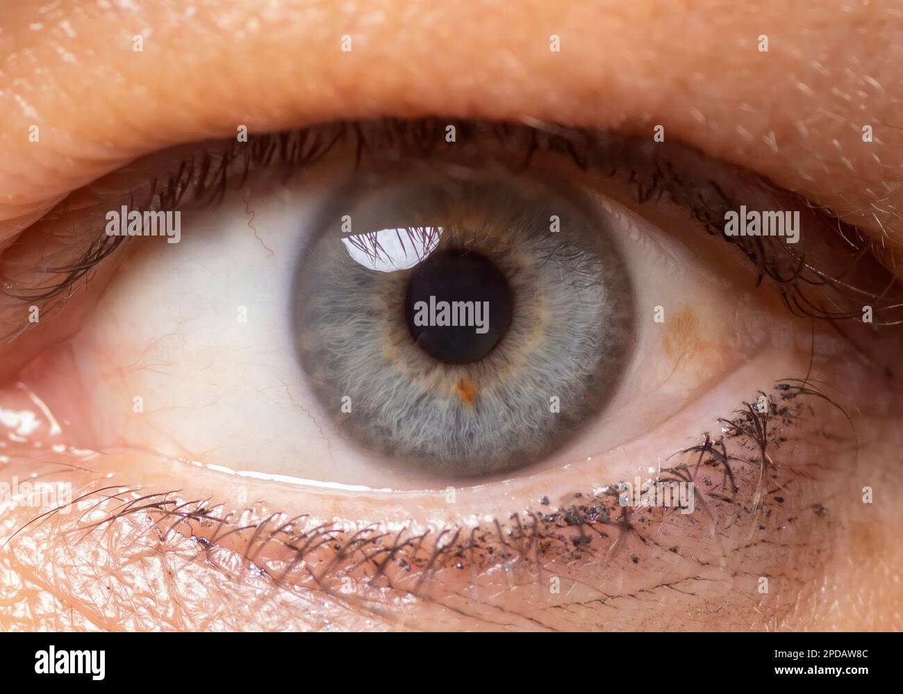 Auge einer Frau Stockfoto