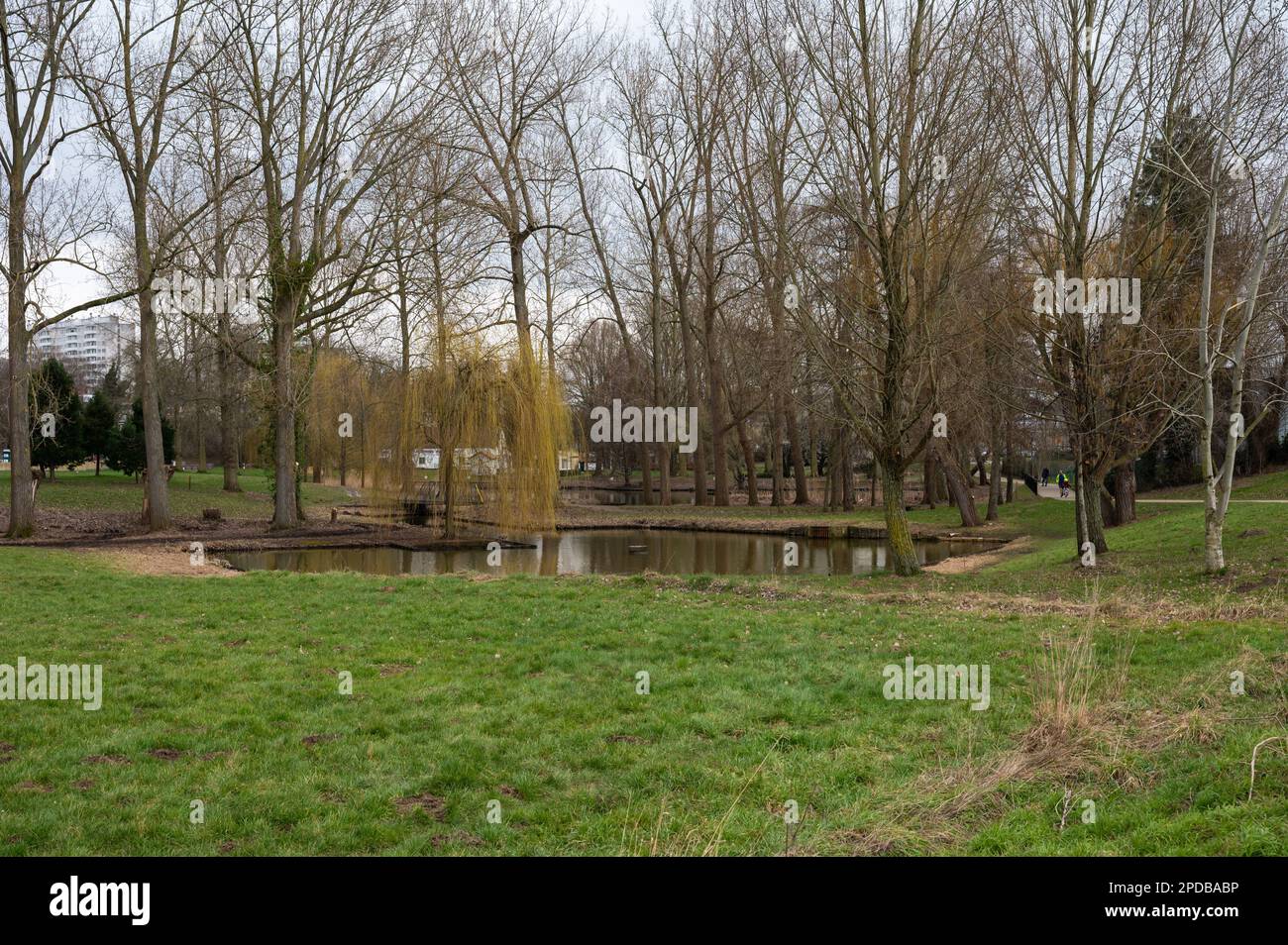 Forest, Region Brüssel-Hauptstadt, Belgien, 4. März 2023 - Natur- und Erholungsgebiet des Stadtparks Bempt Stockfoto