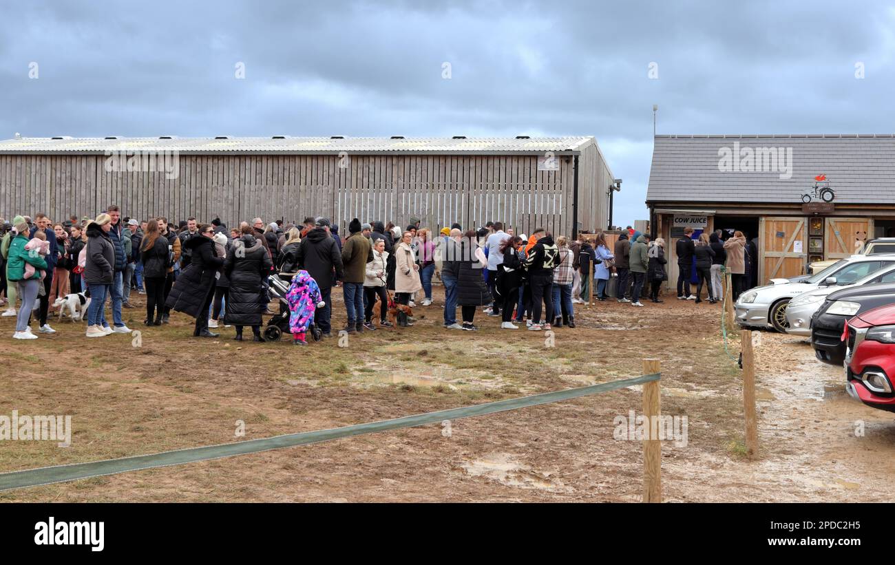 Chipping Norton, Großbritannien - 12. März 2023: Besucher stehen im Diddly Squat Farm Shop Schlange, der 2020 von Jeremy Clarkson eröffnet wurde. Stockfoto