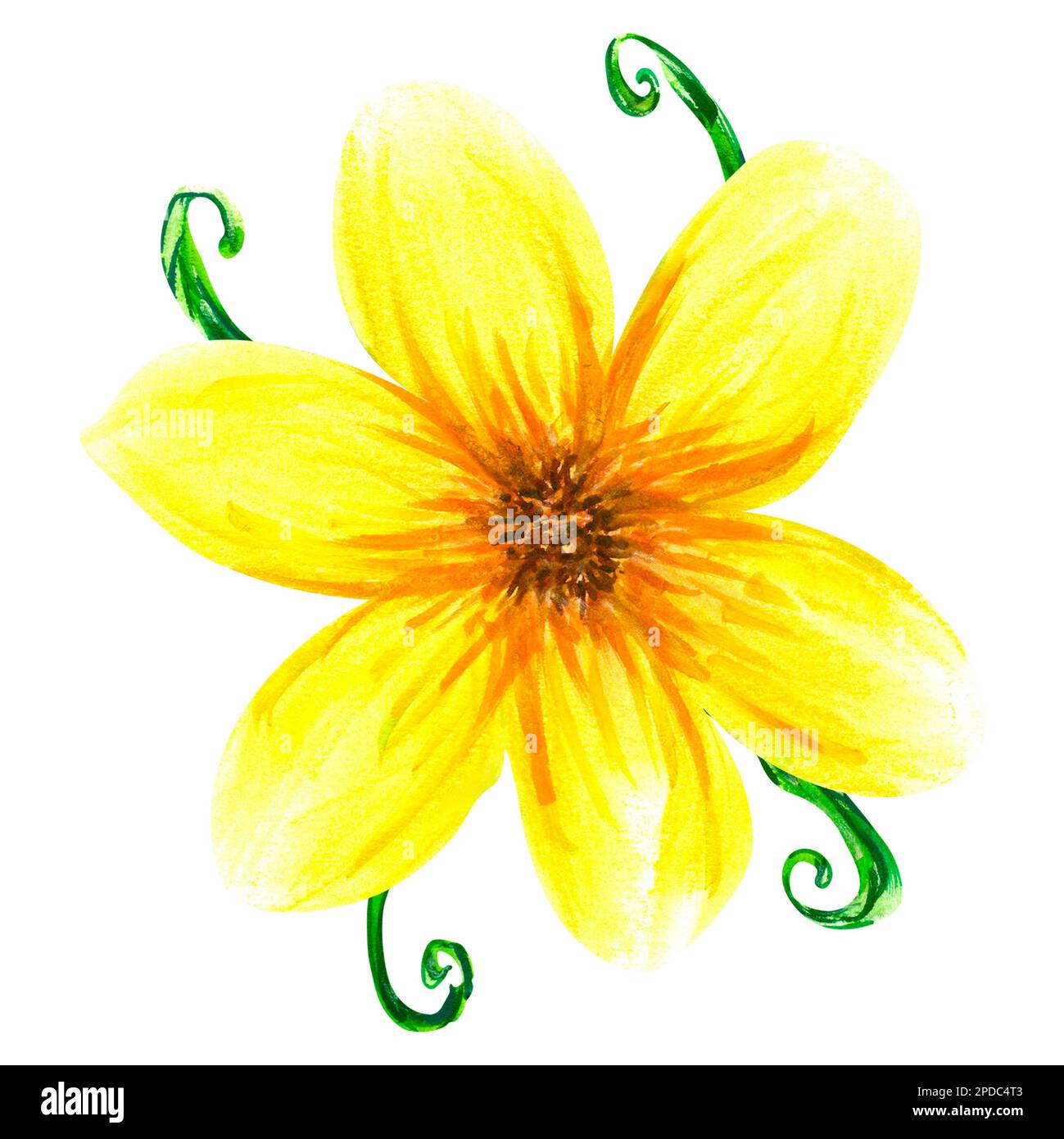 Aquarell abstrahiert helle sommergelbe Blumen und Blätter. Isolierte Objekte auf weißem Hintergrund. Gemalte Blumendekor. Stockfoto