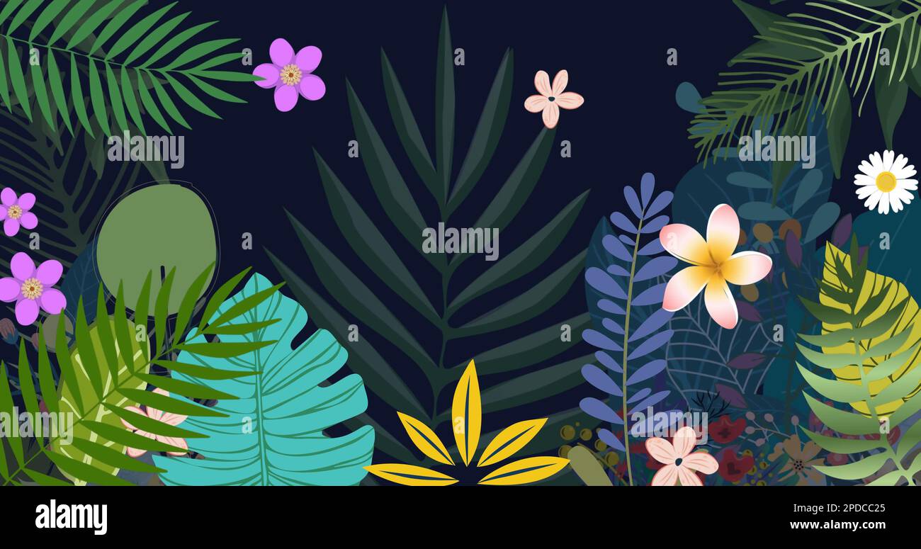 Bild von Dschungelblumen und Blättern auf schwarzem Hintergrund Stockfoto
