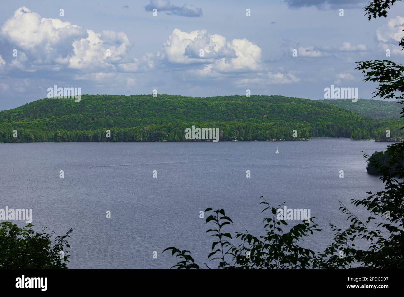 Einsames kleines weißes Segelboot auf einem riesigen See neben einem grünen Wald Stockfoto