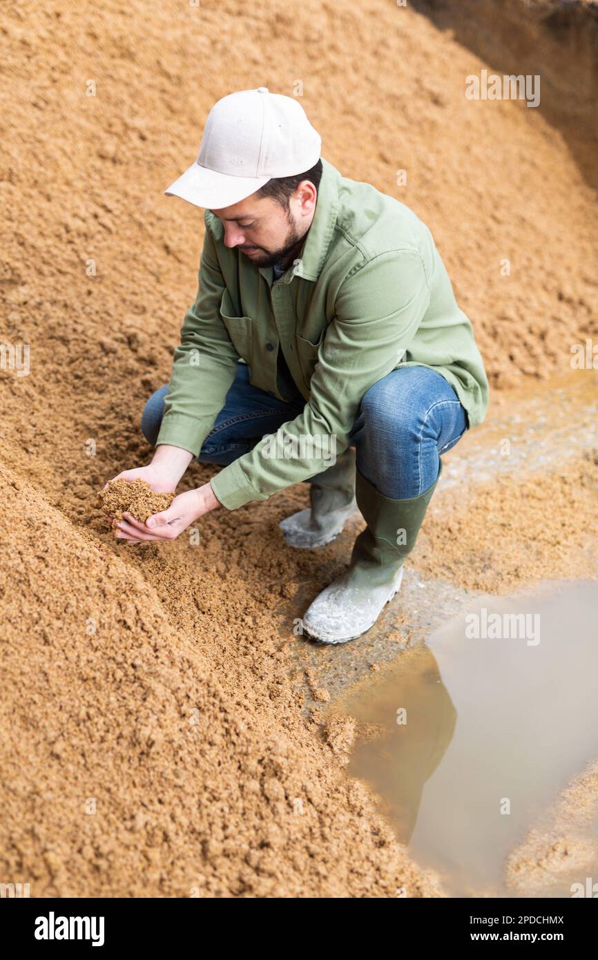 Bauer hockt auf einem großen Haufen verbrauchten Getreides der Brauerei Stockfoto