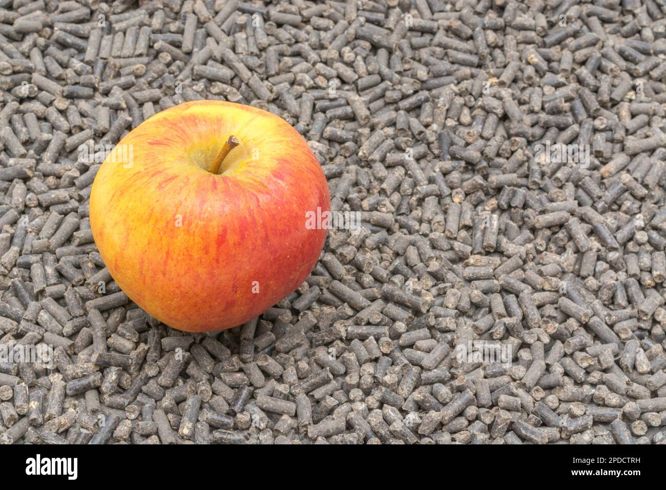 Futterpellets und menschliche Nahrung nebeneinander. Für die Tier-/Viehzucht. Äpfel sind ein gesundes Vergnügen für einige Tiere - Pferde sind eins. Stockfoto