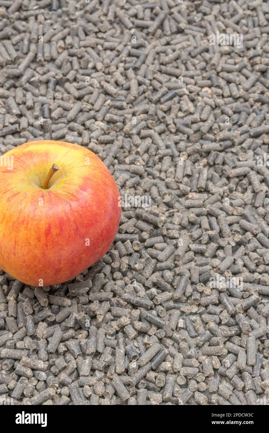 Futterpellets und menschliche Nahrung nebeneinander. Für die Tier-/Viehzucht. Äpfel sind ein gesundes Vergnügen für einige Tiere - Pferde sind eins. Stockfoto