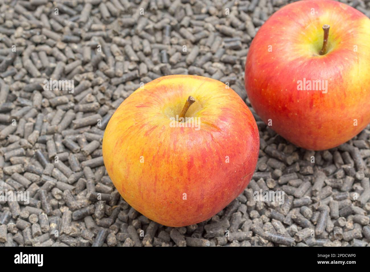 Futterpellets und menschliche Nahrung nebeneinander. Für die Tier-/Viehzucht. Äpfel sind ein gesundes Vergnügen für einige Tiere - Pferde sind eins. Stockfoto