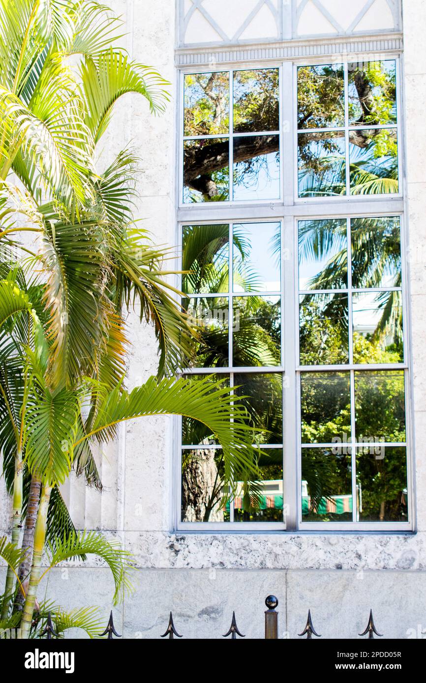 Eine tropische Palme und ein sonniger Himmel spiegeln sich wunderbar im Fenster eines Gebäudes in Key West, Florida, wider Stockfoto