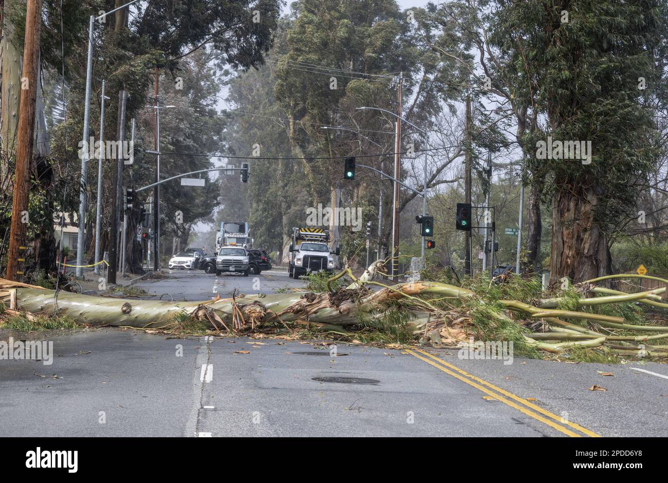 Burlingame, Usa. 14. März 2023. Ein Baum, der von Winden mit 50 km/h umgeweht wird, blockiert El Camino Real in Burlingame, Kalifornien, am Dienstag, den 14. März 2023. Heftige Winde und ein stimmungsvoller Fluss haben den Staat in den letzten 24 Stunden zerschmettert. Foto: Terry Schmitt/UPI Credit: UPI/Alamy Live News Stockfoto