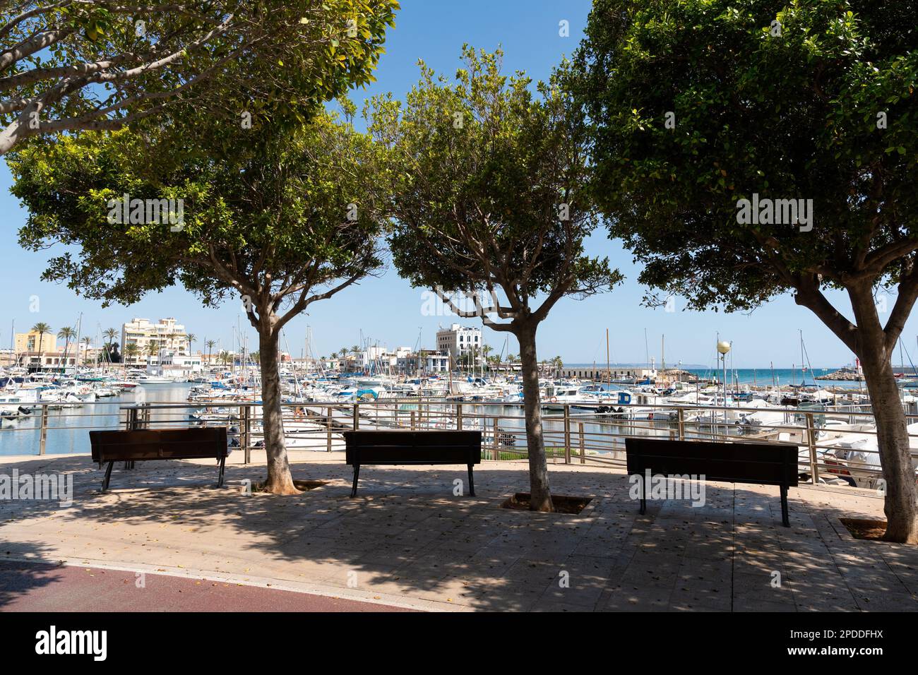 Marina von Portixol mit leeren Bänken im Vordergrund, Mallorca, Spanien Stockfoto