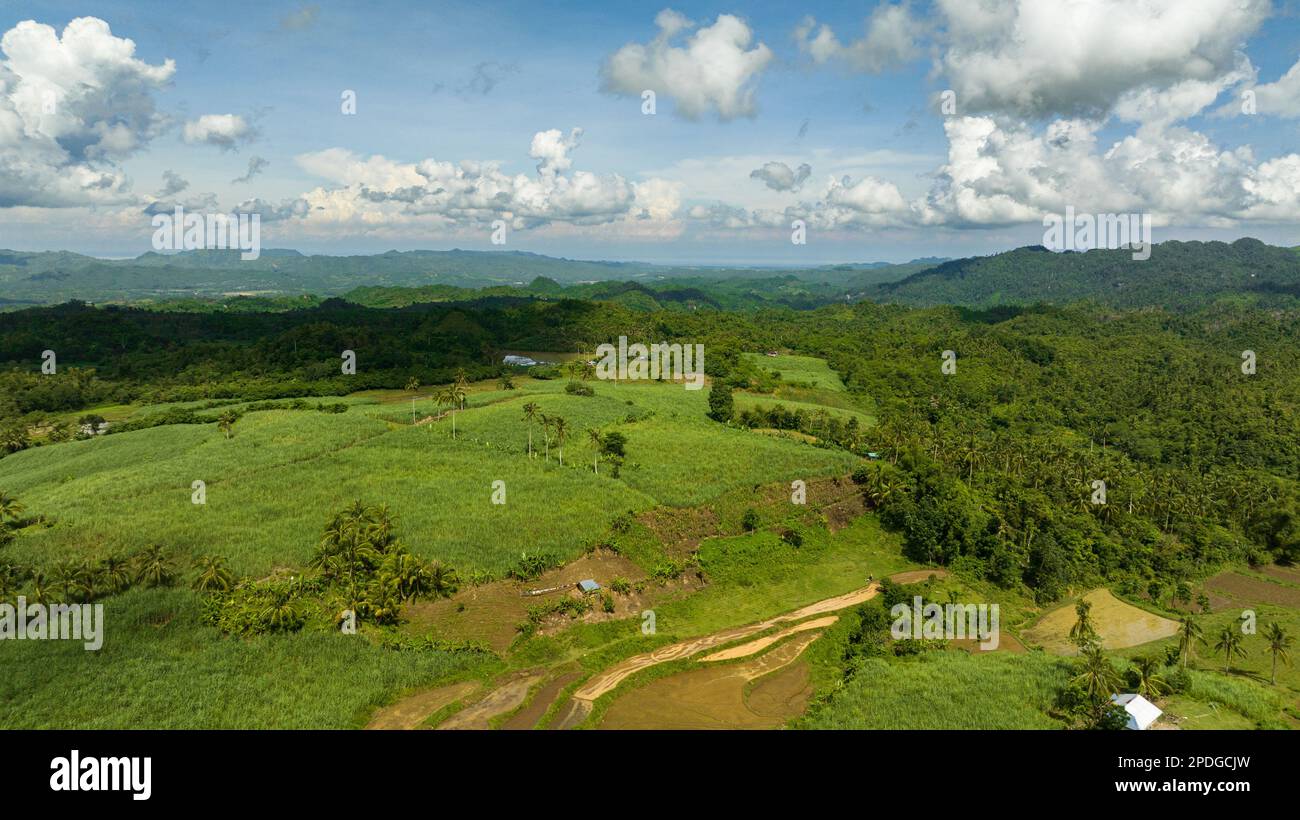 Luftdrohne aus Bergen mit Regenwald und Ackerland. Negros, Philippinen Stockfoto