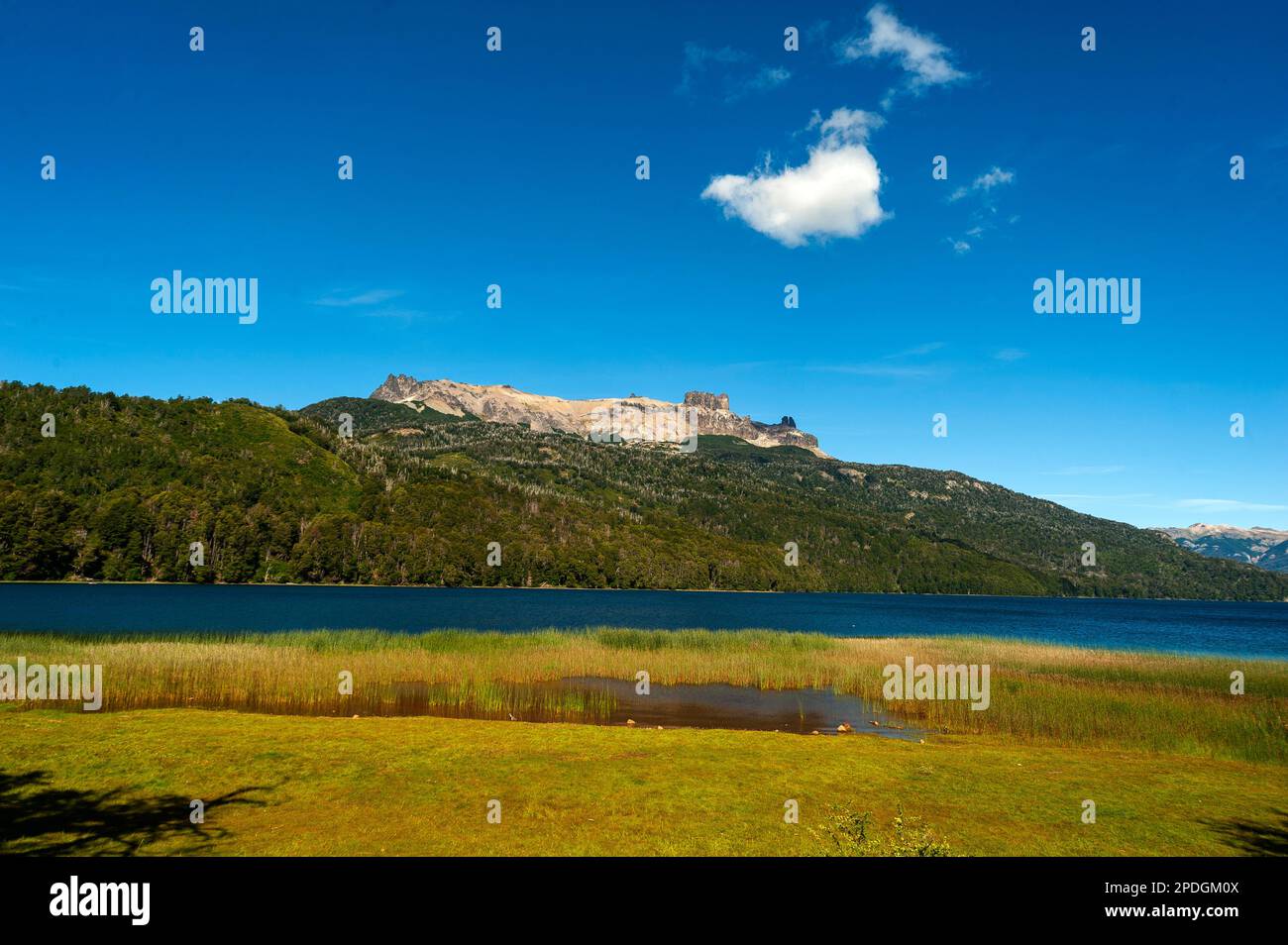 Lake Falkner aus Sicht der Rura 40, Ruta de Los Siete Lagos oder Route of Seven Lakes, Neuquén, Argentinien Stockfoto
