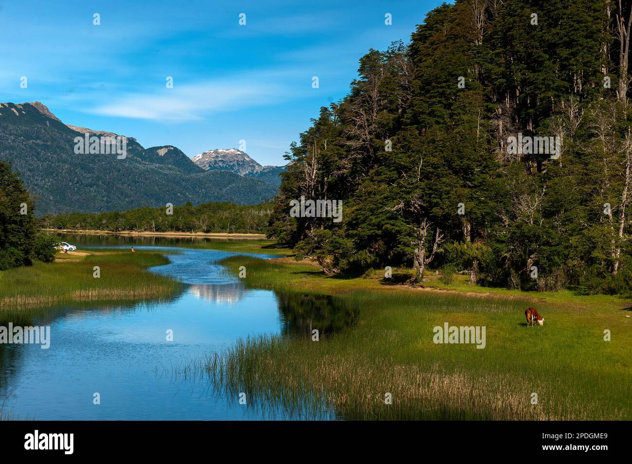 Campingplatz am Ufer des Lake Villarino auf Ruta 40, schneebedeckte Gipfel im Hintergrund, Ruta de Los Siete Lagos oder Route of Seven Lakes, Neuquén, Argentinien Stockfoto