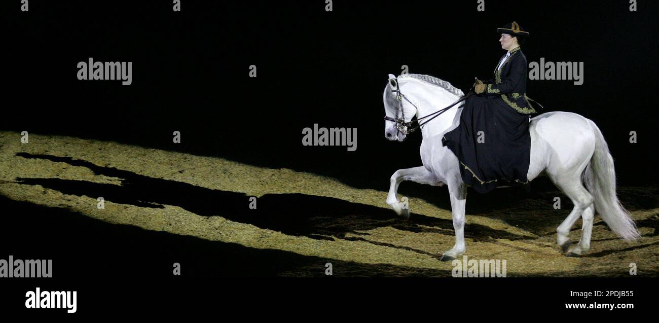 A rider puts a Spanish thoroughbred through it's paces during the first day of the International Horse Show in Seville, Spain, Wednesday Nov. 23, 2005. The show, which runs until Nov. 27, is dedicated exclusively to Spanish thoroughbreds. (AP Photo/Javier Barbancho) Stockfoto