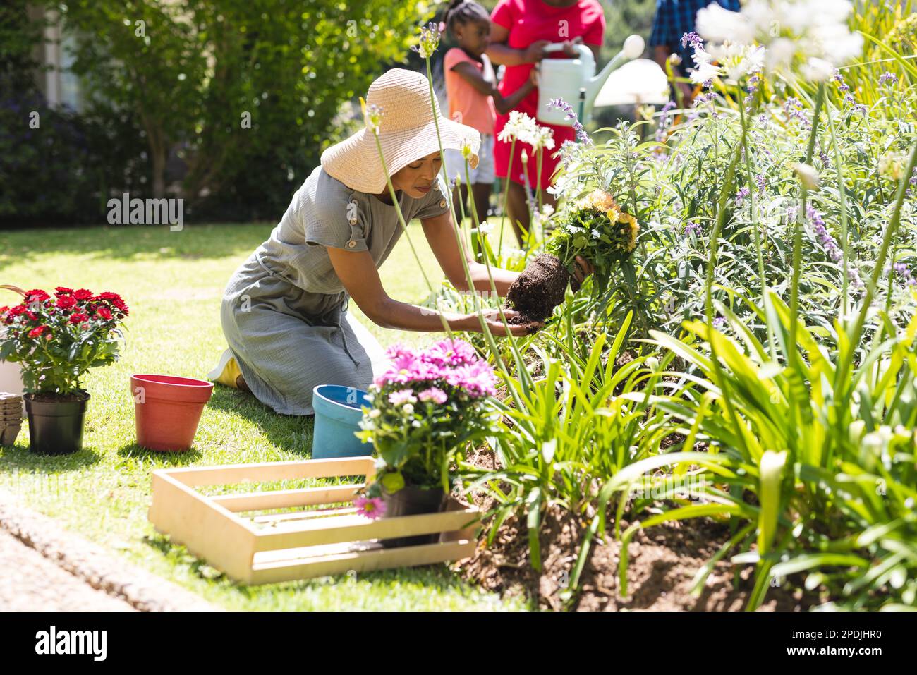 Glückliche afroamerikanische Familie, die Blumen im Garten pflanzt Stockfoto