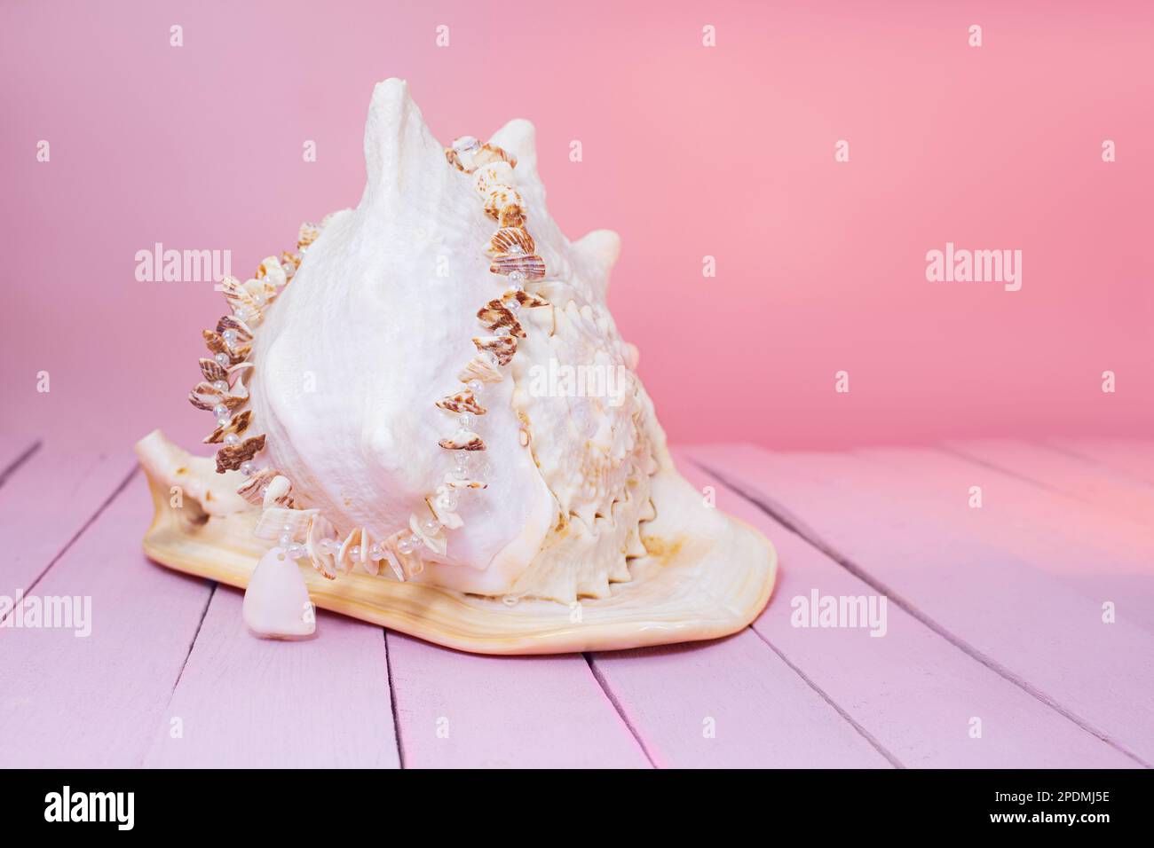 Große weiße Muschel auf pinkfarbenen Holzbrettern mit Muschelperlen. Sommerurlaub im Meer. Speicherplatz kopieren Stockfoto