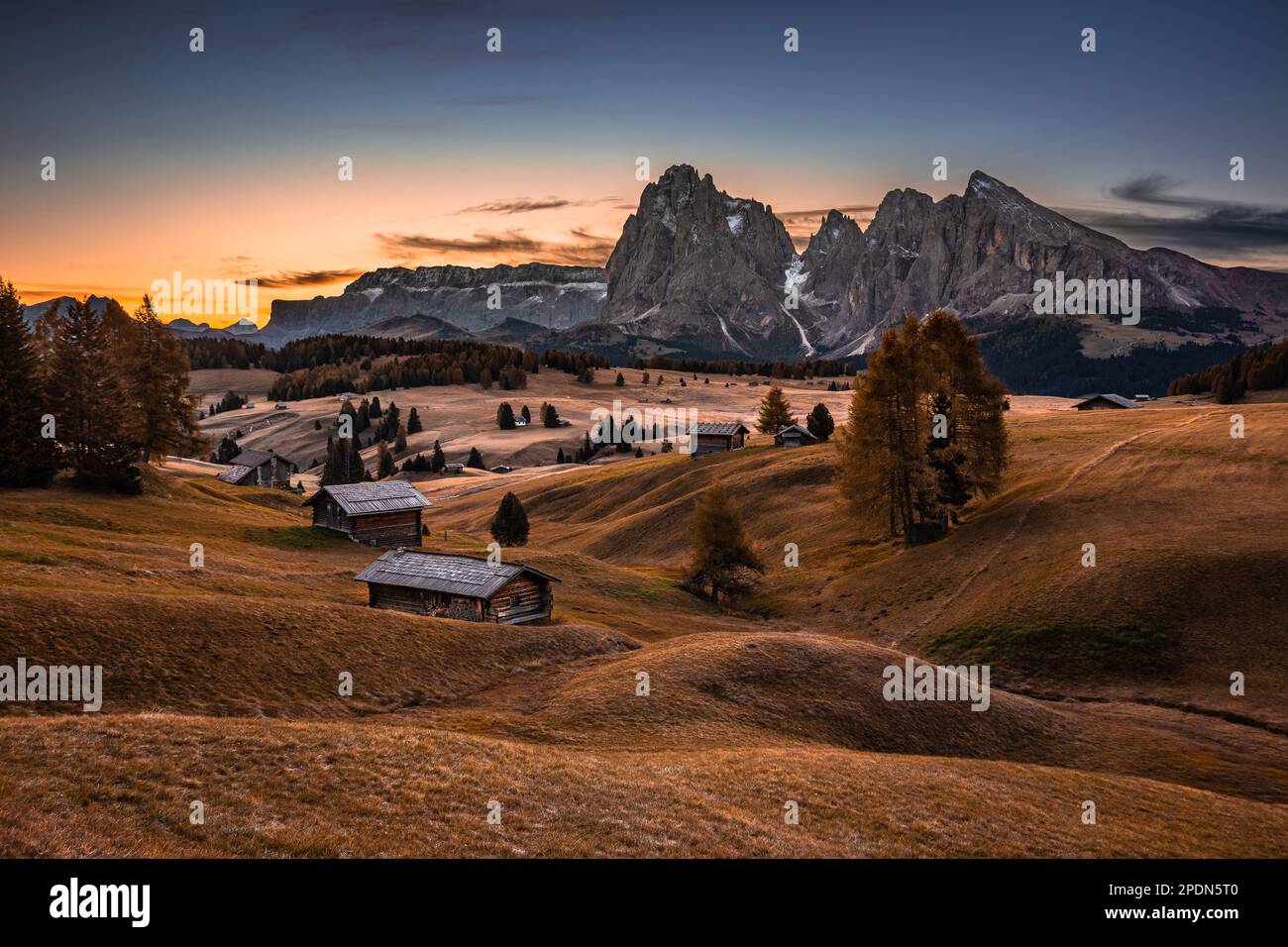 Seiser Alm, Italien - die Seiser Alm, eine Almwiese auf einem warmen Herbstaufgang mit dem Saslonch (Langkofel) Berg der italienischen Dolomiten Stockfoto