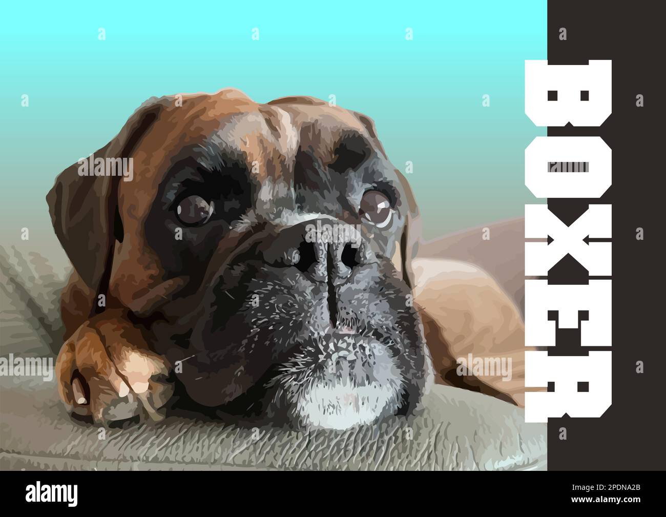 Eine Nahaufnahme eines krautigen, wunderschönen Boxerhundes. 3D-Vektorposter Stock Vektor