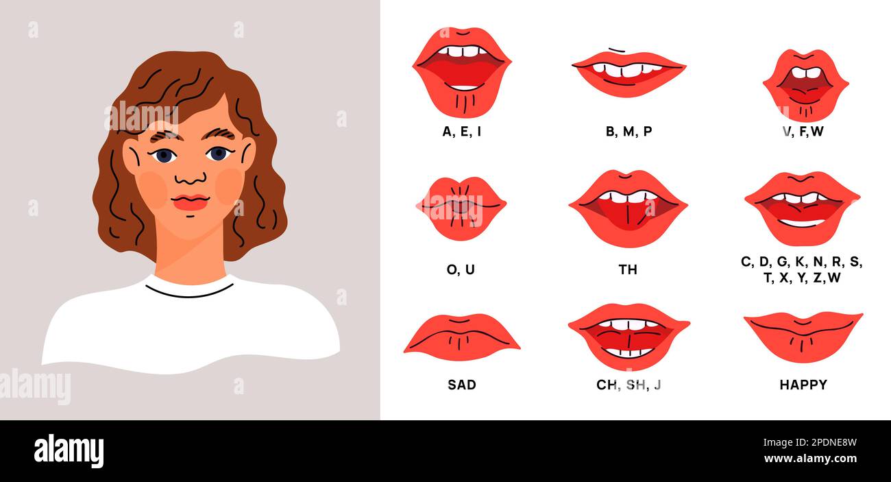 Weiblicher Mund synchronisiert mit Geräuschen. Verschiedene Lippenpositionen. Alphabetische Animation. Sprechende Frau. Eine weibliche Rede. Ausgesprochene Briefe. Traurig und glücklich Stock Vektor