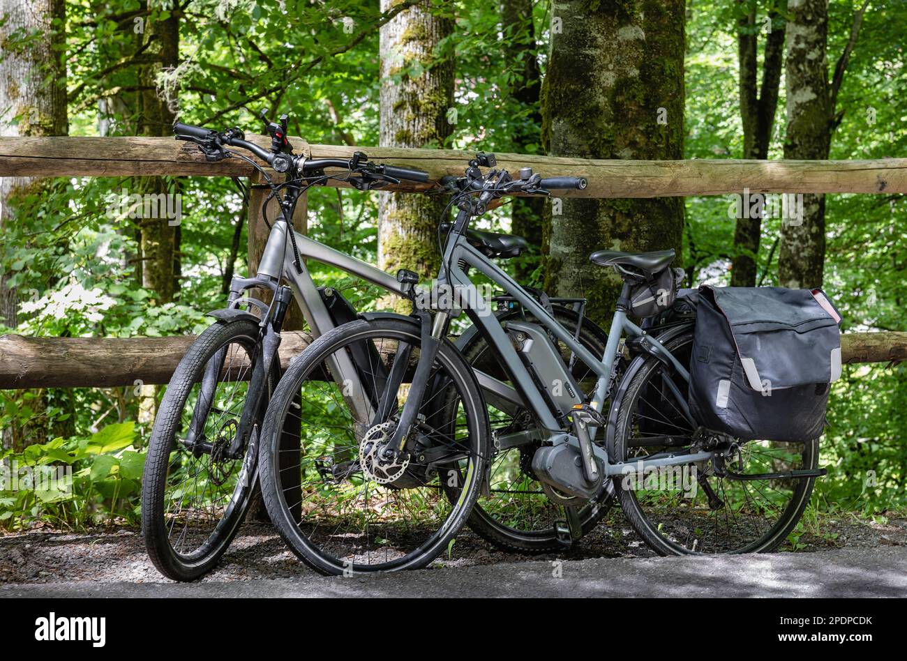 Fahrräder im Wald aus nächster Nähe geparkt Stockfoto