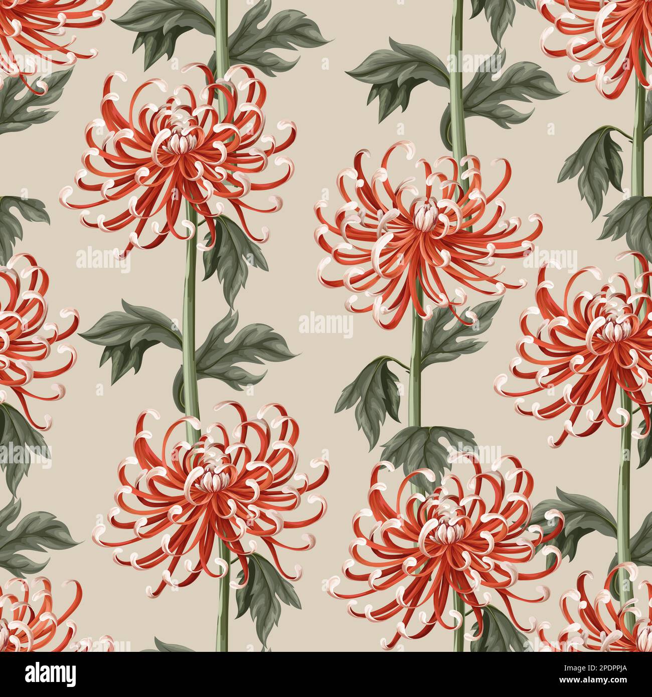 Nahtloses Muster mit Chrysanthemen und Gänseblümchen. Vektor. Stock Vektor