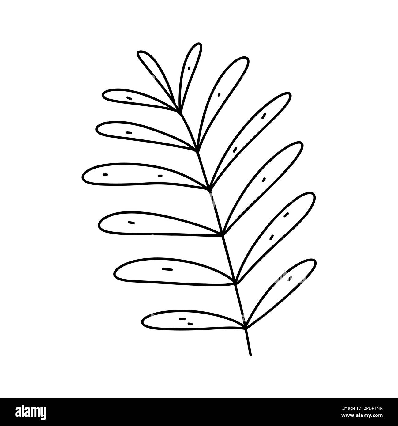 Blumenelement im handgezeichneten Doodle-Stil. Ökologie oder natürliches Element. Vektordarstellung isoliert auf weißem Hintergrund Stock Vektor