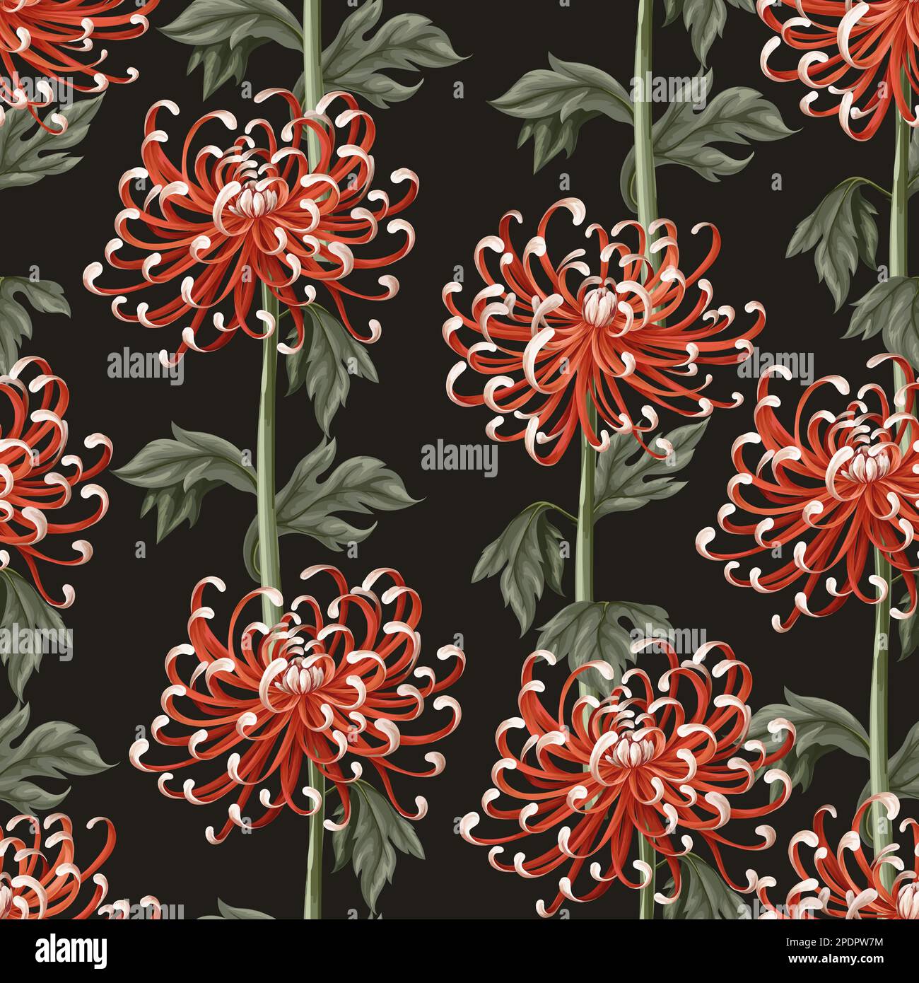 Nahtloses Muster mit Chrysanthemen und Gänseblümchen. Vektor. Stock Vektor