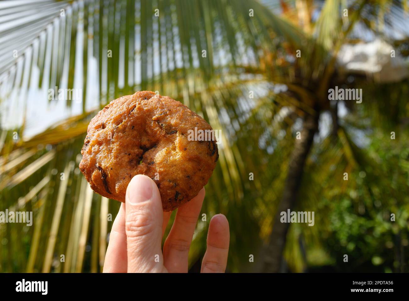 Würzige Linsenfritter Ulundu Wade aus einer Kombination aus Dhal, Zwiebeln, Chili, Curryblättern und Gewürzen. Ulundu Wade ist innen weich und knusprig Stockfoto
