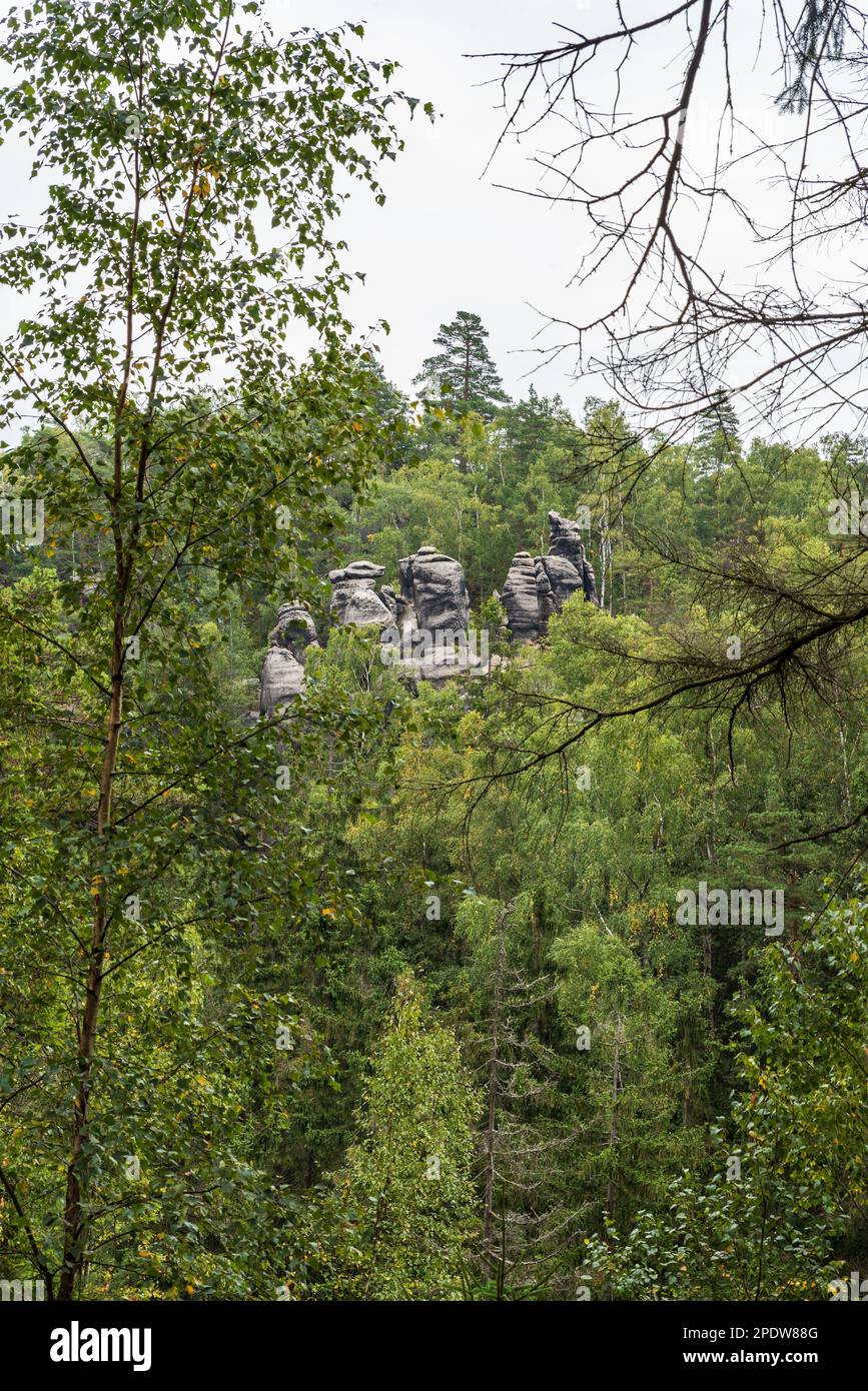 Wälder mit Sandsteinfelsen in Teplicke in der Felsenstadt Teplicke in der tschechischen republik während des bewölkten frühen Herbsttags Stockfoto