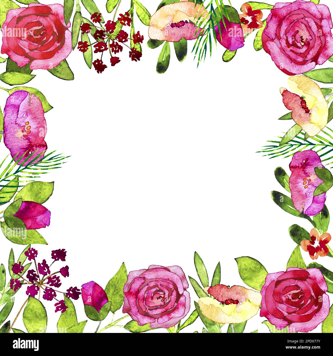 Aquarelle Blumenrahmen aus rosa Rosen, Mohn, grünen Blättern und Knospen Stockfoto