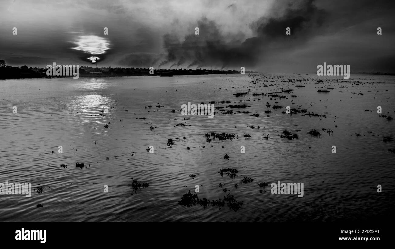 Ein Blick über den Mekong mit seinen Klümpchen schwimmender Wasserhyazinthen am Long Xuyen im Mekong Delta in Vietnam. Stockfoto