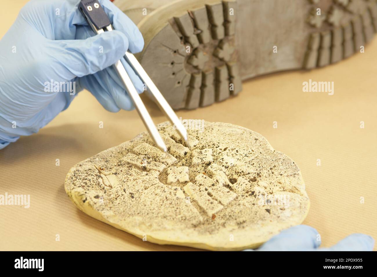 Ein forensischer Wissenschaftler, der einen Gipsabdruck mit echten Stiefeln kombiniert Stockfoto