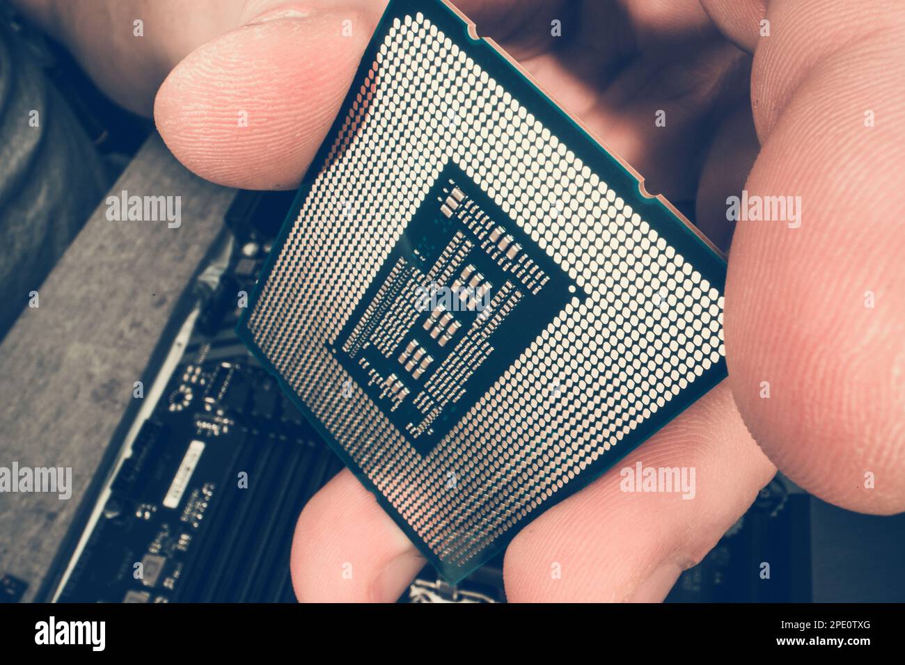 Nahaufnahme des modernen Computerchips in DER Hand EINES IT-Technikers. Design Der Zentralen Verarbeitungseinheit. Stockfoto