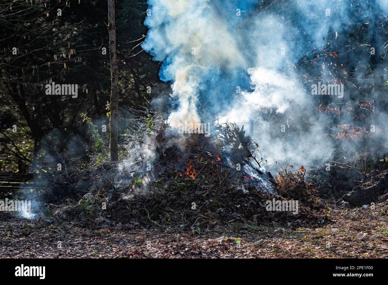 Ein Gartenfeuer mit Rauch, Arnside, Milnthorpe, Cumbria, Großbritannien Stockfoto