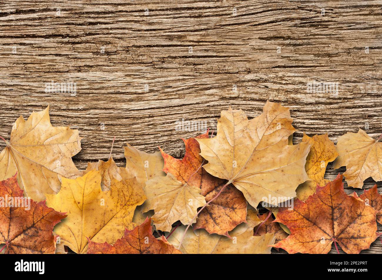 Trockene Herbstblätter auf rustikalem Holzbrettgrund Stockfoto