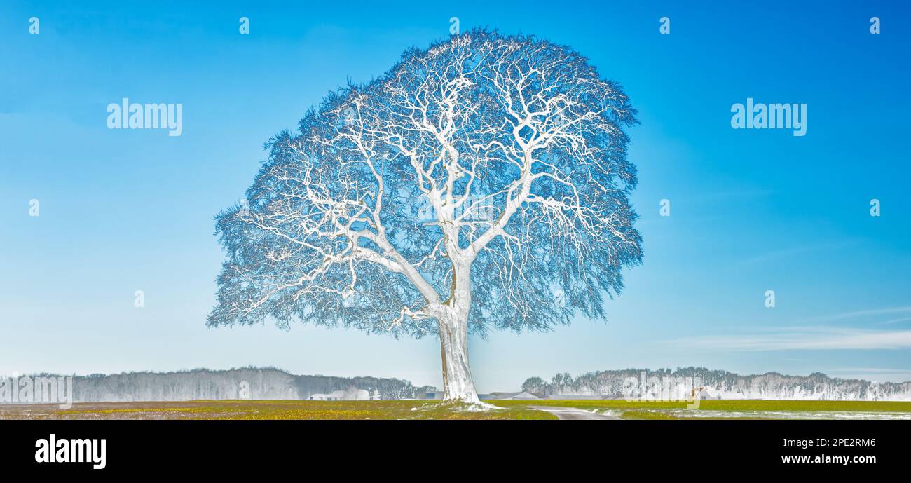 Abstrakter Baum mit hirnähnlicher Struktur Stockfoto
