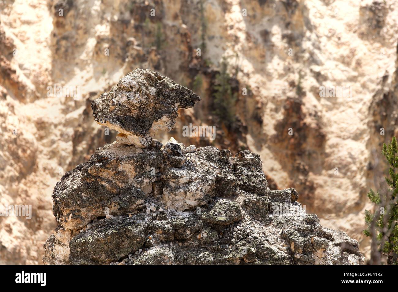Ein Hügel aus trachyandesite-Felsen, von denen einer im Yellowstone-Nationalpark vor dem Hintergrund eines Canyons balanciert Stockfoto