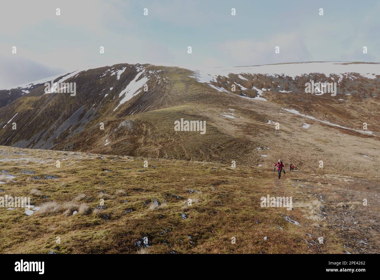 Rückblick auf Munro Braigh Coire Chruinn-Bhalgain, Carn nan Gabhar, Beinn a Ghlo Massif, Scottish Highlands Perthshire, Schottland Stockfoto