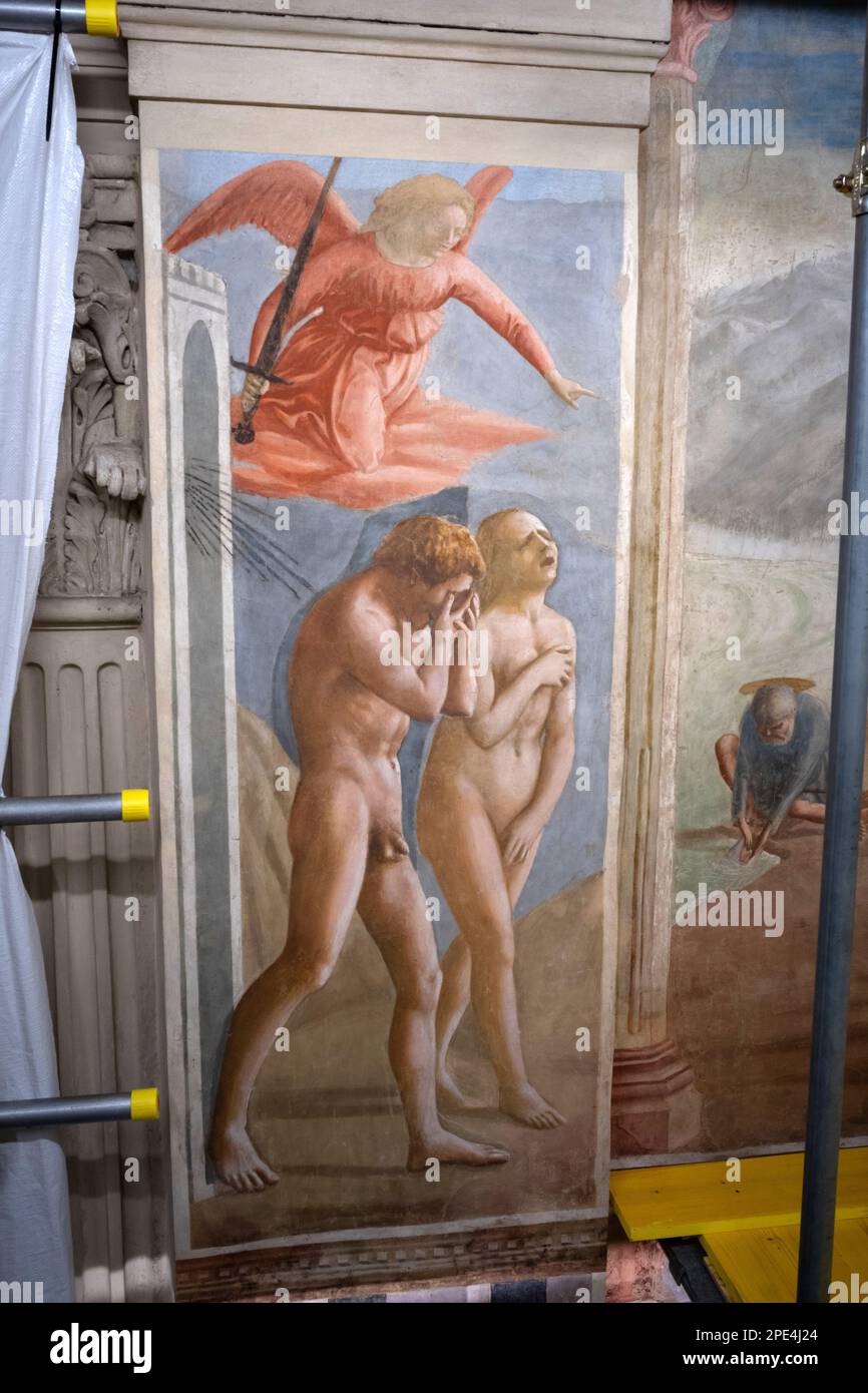 Restaurierungsarbeiten an den berühmten Fresken der Branacci-Kapelle in Florenz im Gange. Kleine, zeitlich begrenzte Führungen erlaubt inmitten des Gerüsts Stockfoto