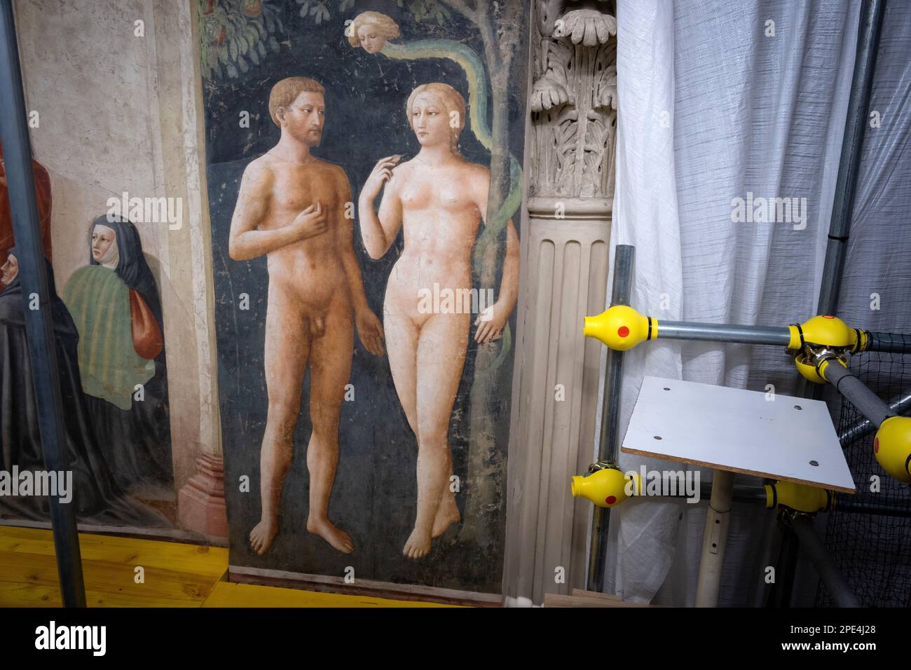 Restaurierungsarbeiten an den berühmten Fresken der Branacci-Kapelle in Florenz im Gange. Kleine, zeitlich begrenzte Führungen erlaubt inmitten des Gerüsts Stockfoto