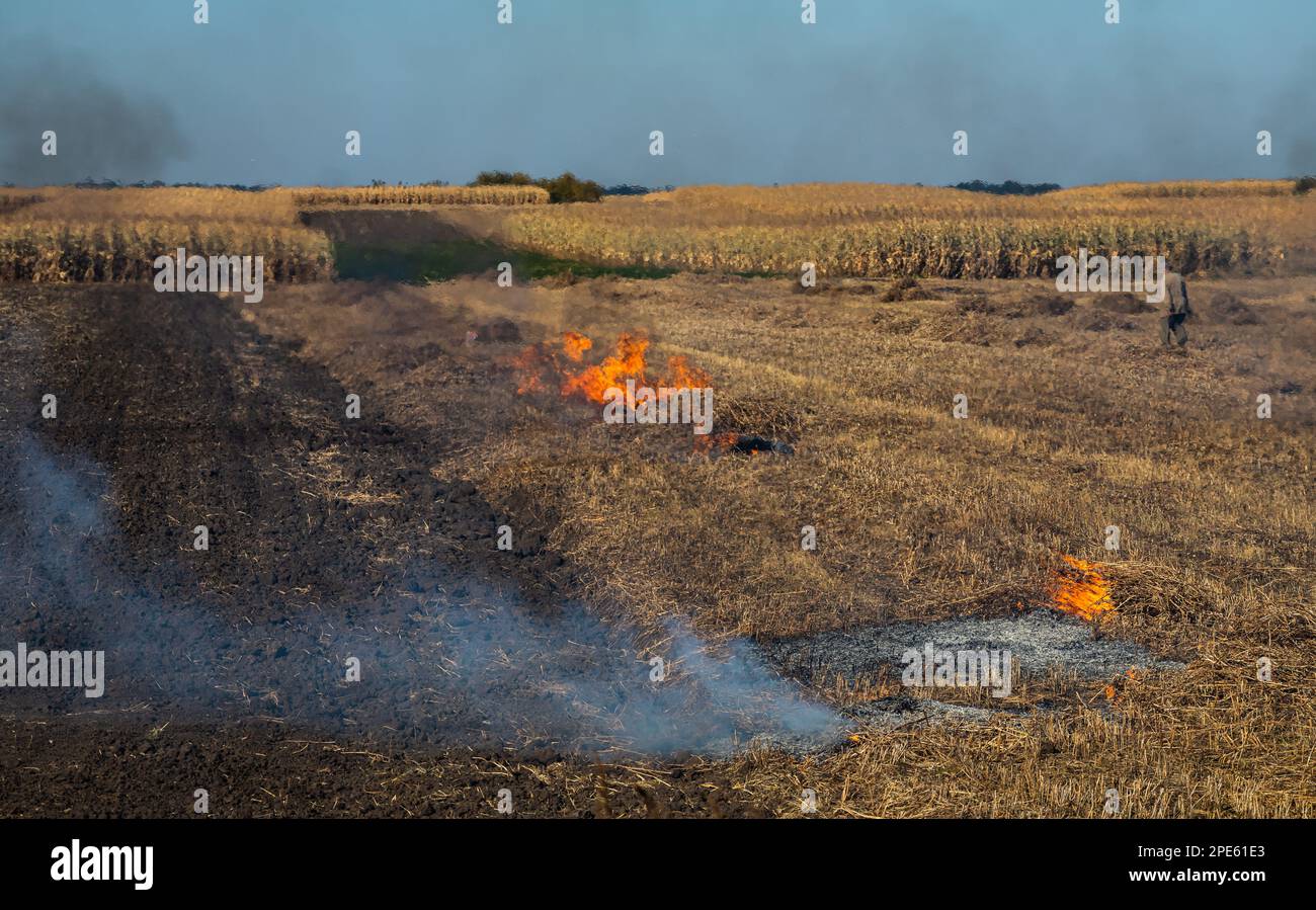 Verbrennung landwirtschaftlicher Abfälle Smog und Verschmutzung
